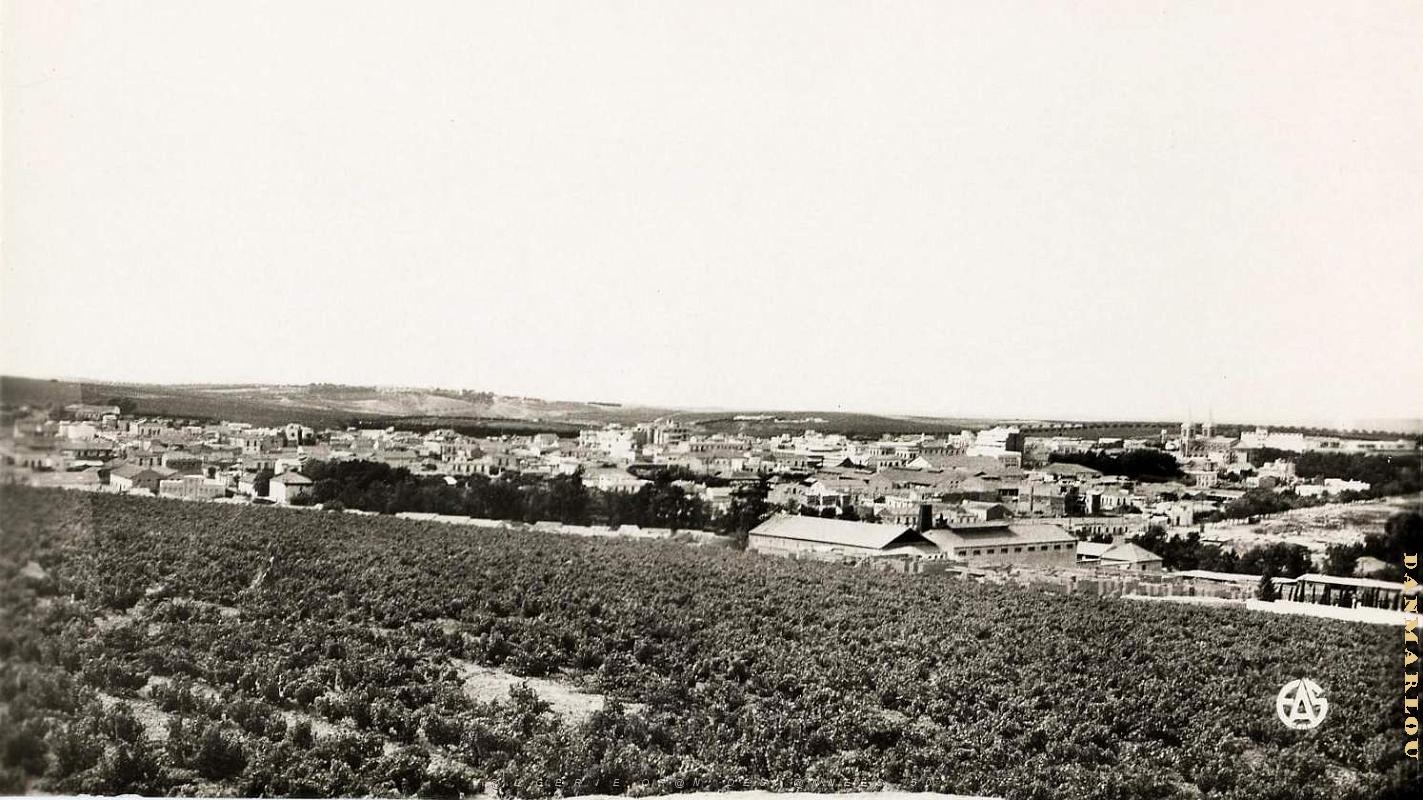 Ain Temouchent 509- Vue generale COLLECTION DES AMIS DE ND DE SANTA CRUZ.jpg